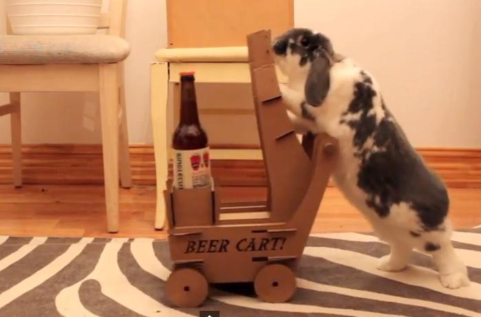 Beer bunny, Foto: Captura Youtube.com