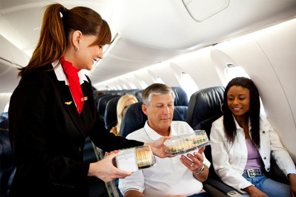 Comisia Europeana vrea sa stie si ce mancam in avion, Foto: healthytravelblog.com