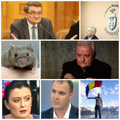 Actualitate, Foto: Hotnews