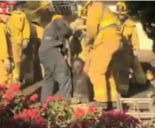 O femeie este scoasa de pe hornul casei fostului iubit, Foto: Captura YouTube