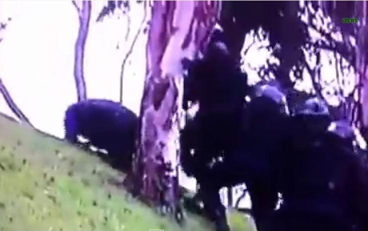 Trupele speciale franceze se confrunta cu probleme de aderenta, Foto: Captura YouTube