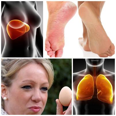 UTILE, Foto: Colaj foto