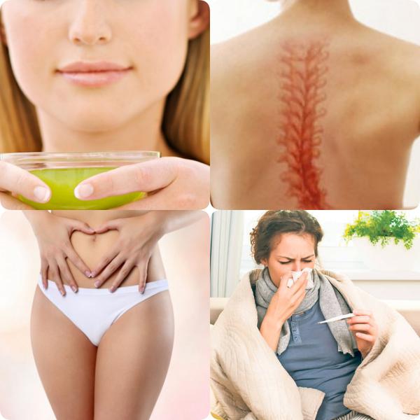 Utile, Foto: Colaj foto