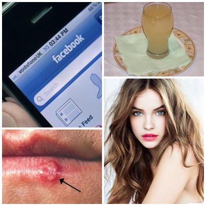 Utile, Foto: Colaj foto