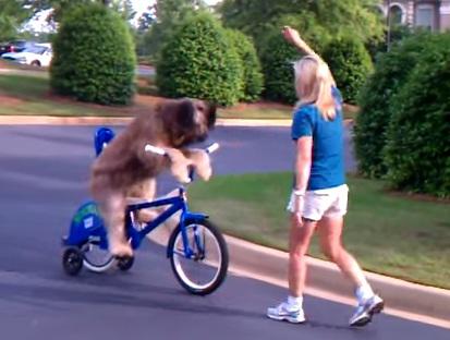 Clipul zilei, Foto: Captura Youtube.com