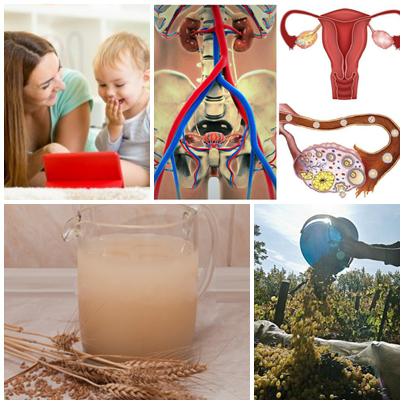 UTILE, Foto: Hotnews