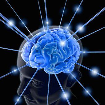Programul de masterat Open Mind, Foto: unibuc.ro