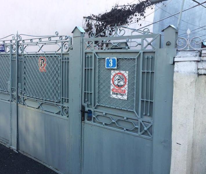 Copil muscat de caine, Foto: Hotnews