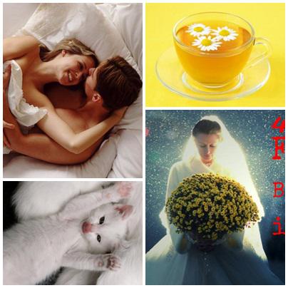 Utile, Foto: Colaj foto