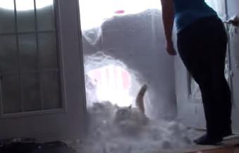 Clipul zilei, Foto: Captura Youtube.com