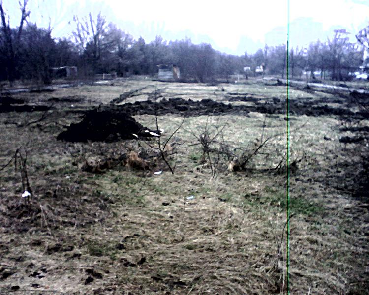 Parcul Tineretului 2015, Foto: Hotnews