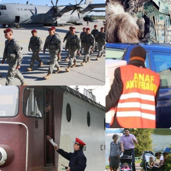 Business report, Foto: Colaj foto