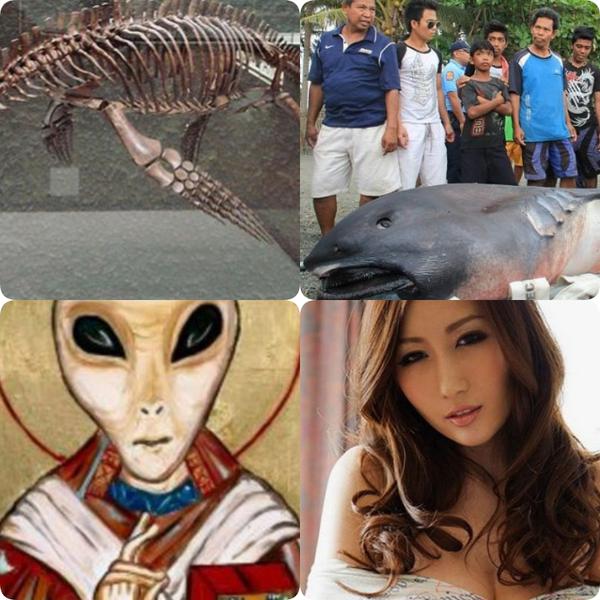 Faze tari, Foto: Colaj foto