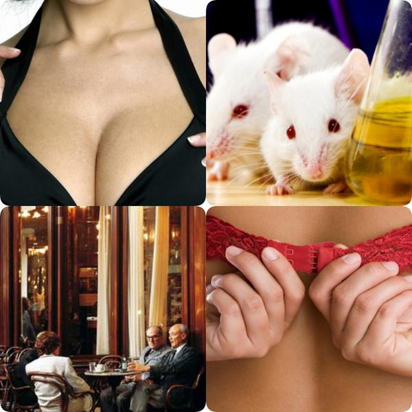 Faze tari, Foto: Colaj foto