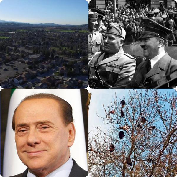 O lume nebuna, Foto: Colaj foto