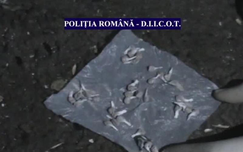 Captura heroina DIICOT, Foto: Hotnews