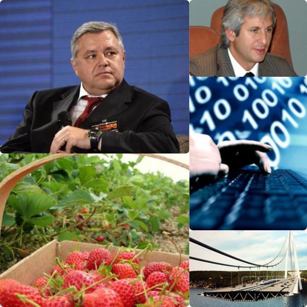 Business report, Foto: Colaj foto