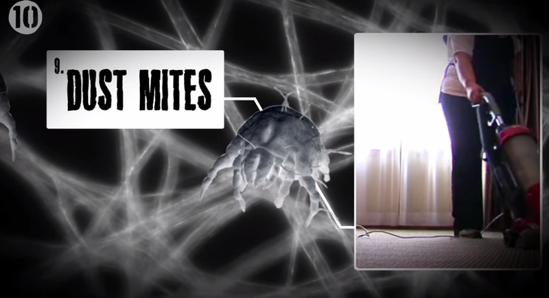 10 creaturi dezgustatoare, Foto: Captura YouTube