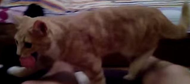 Clipul zilei, Foto: Captura Youtube.com