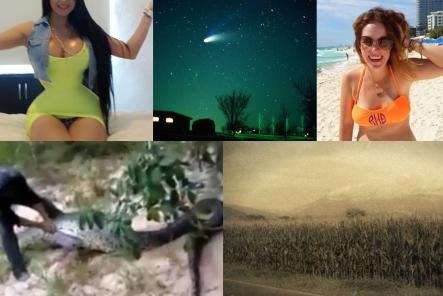 Faze Tari, Foto: Colaj foto