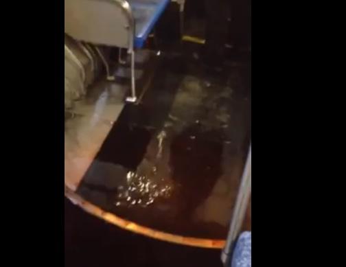 Autobuzul groazei, Foto: Captura YouTube