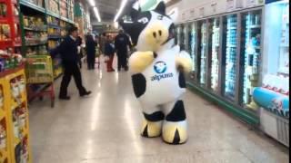 Vaca dansatoare din Mexic, Foto: youtube.com