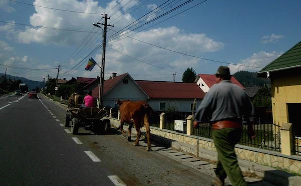 Slatioara, oameni la munca, Foto: Brindusa Aluculesei