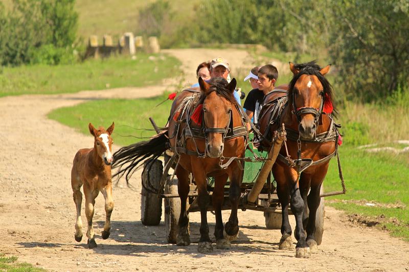 la trap, Foto: USER UPLOADED