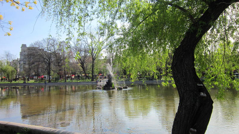 Zile insorite, Foto: USER UPLOADED