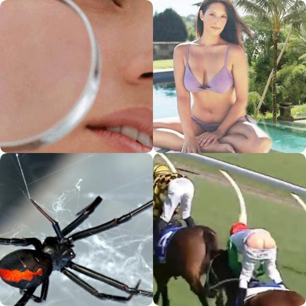 Faze tari, Foto: Colaj foto