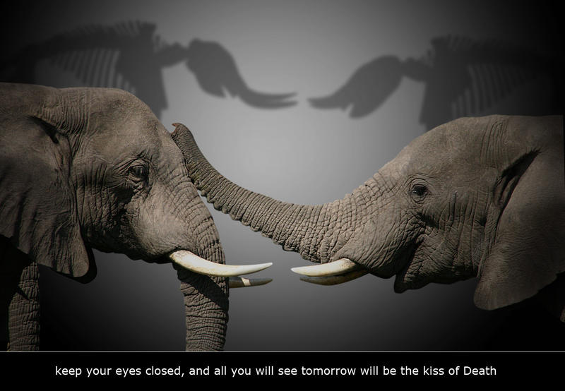 iluzia vietii, Foto: Photopuppeteer