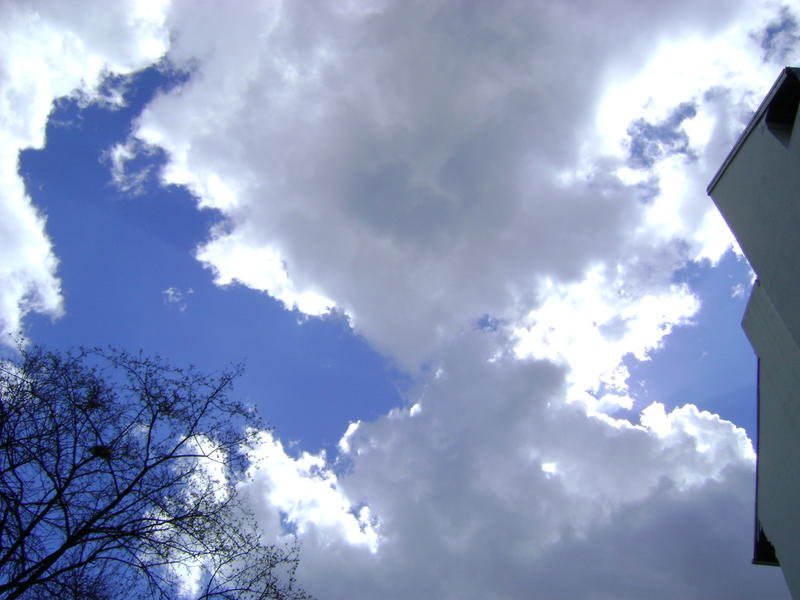 Nori primavara, Foto: USER UPLOADED