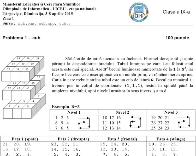 Fragment din Subiectele de la Olimpiada Nationala de Informatica 2015, Foto: oni2015.isj-db.ro