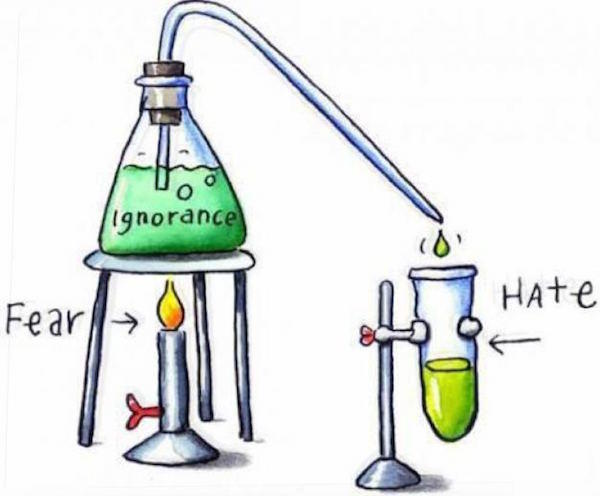 Despre toleranta, Foto: andreanum