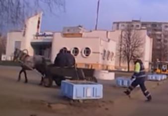 clipul zilei, Foto: Captura YouTube