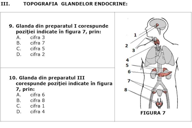 Fragment din subiectele de la Olimpiada Nationala de Biologie 2015, clasa a VII-a, Foto: colegiulunirea.ro