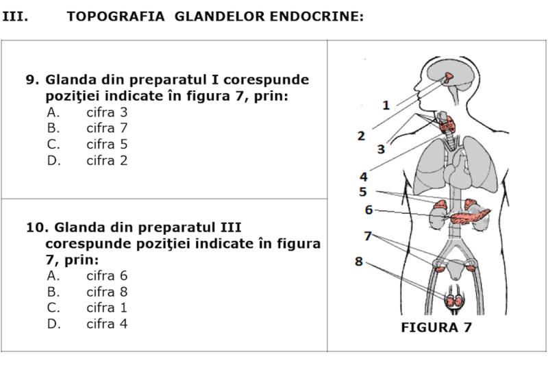 Fragment din subiectele de la Olimpiada Nationala de Biologie 2015, clasa a VII-a, Foto: colegiulunirea.ro