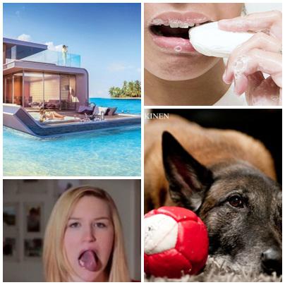 Faze tari, Foto: Colaj foto