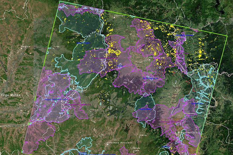 Zone padurite disparute (cu galben) intre 2000 si 2006 - experiment pe harta facut de ICAS, Foto: ArcGIS