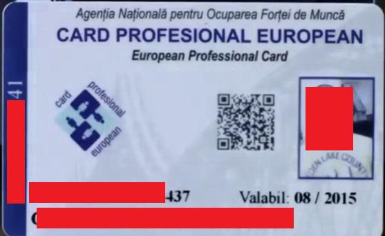 card profesional european, Foto: Soft Union