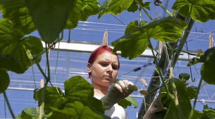 Agricultura, Foto: Comisia Europeana