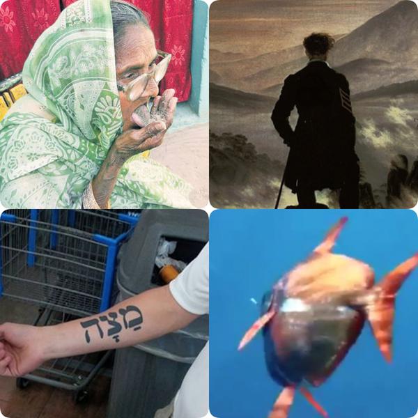 Faze tari , Foto: Colaj foto