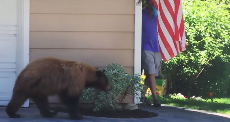 Urs vs. om, Foto: Captura YouTube