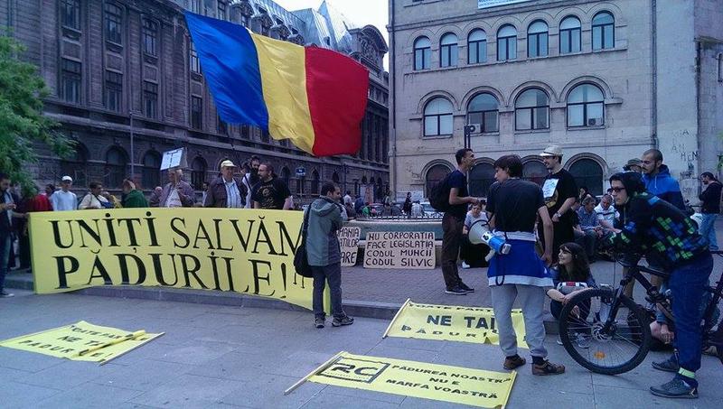 Protest Uniti salvam padurile, Foto: Hotnews