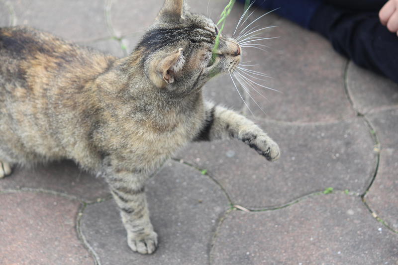 bonny, Foto: USER UPLOADED