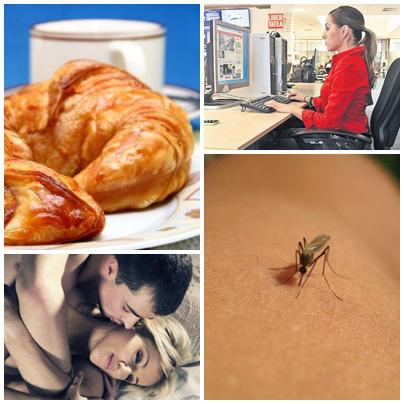 Utile, Foto: Colaj foto