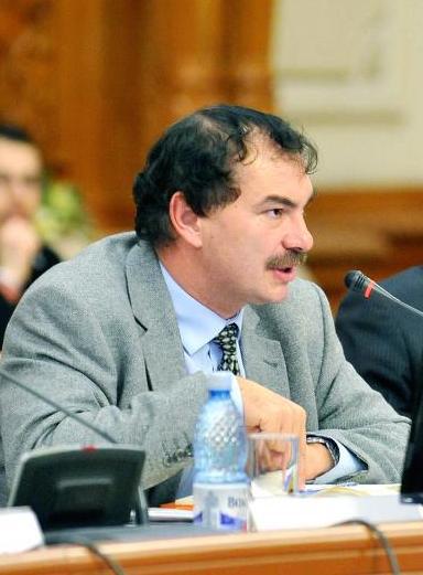 Mircea Miclea, Foto: Agerpres