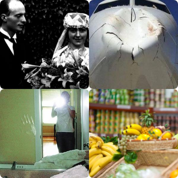 Faze tari, Foto: Colaj foto