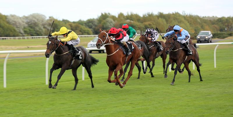 Musselburgh Racecourse, Foto: Eugen Stoica