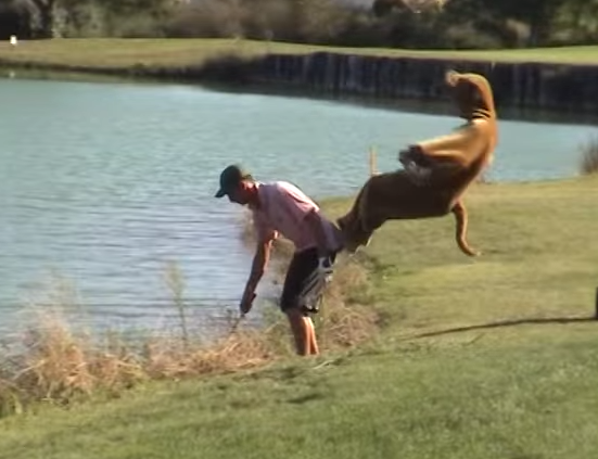 Remi Gaillard - francezul nebun, Foto: Captura YouTube